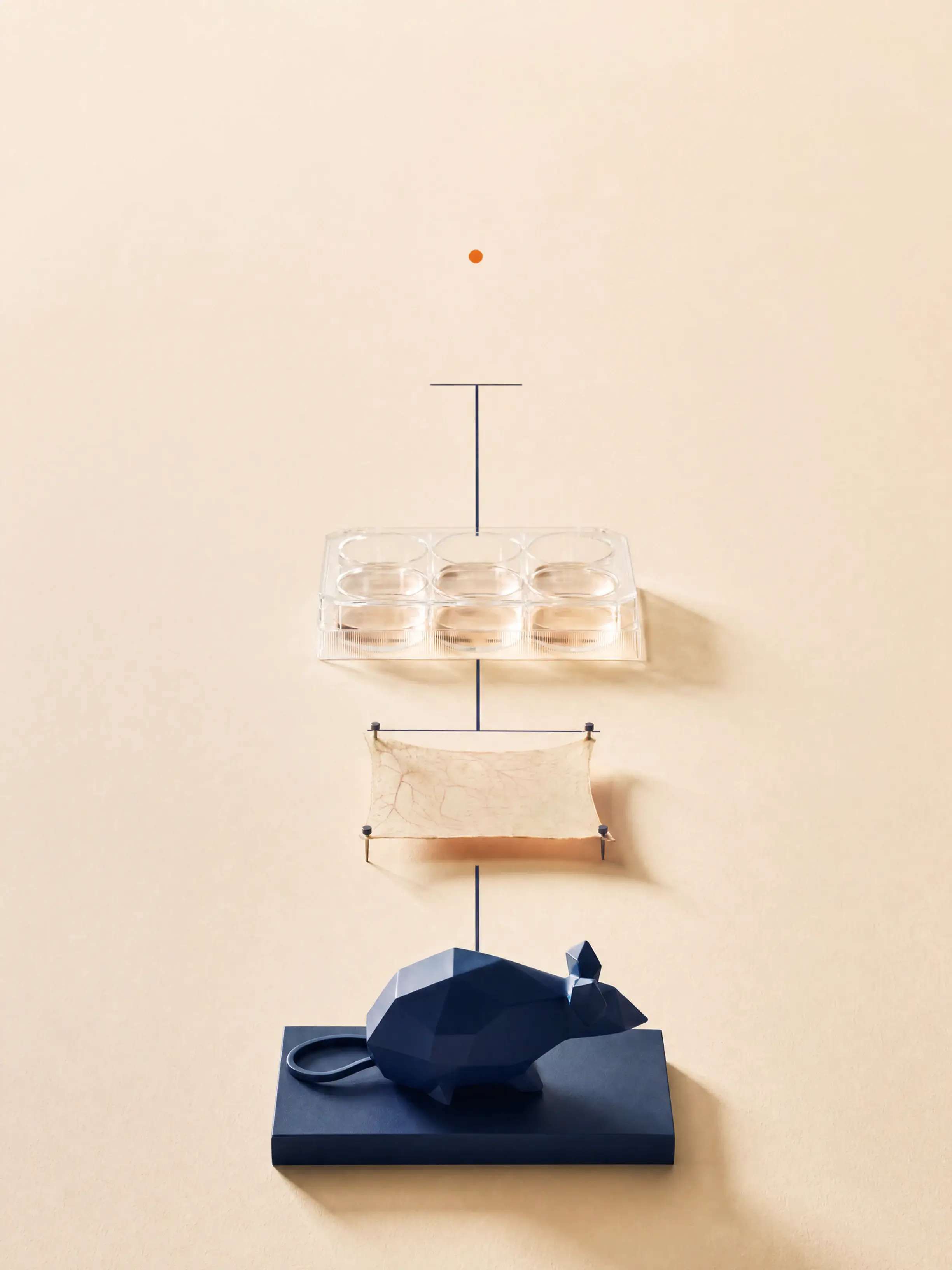 Three abstract research stations for cells, excised tissue and an animal model lead to an empty illuminated human-study position.